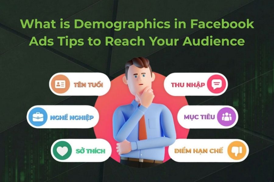 What is Demographics