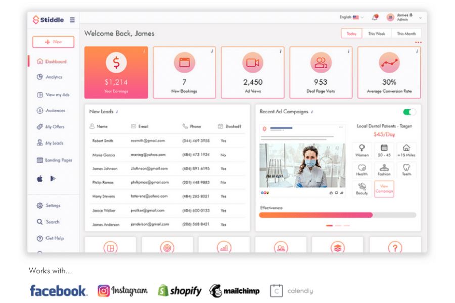 Stiddle AI ads management