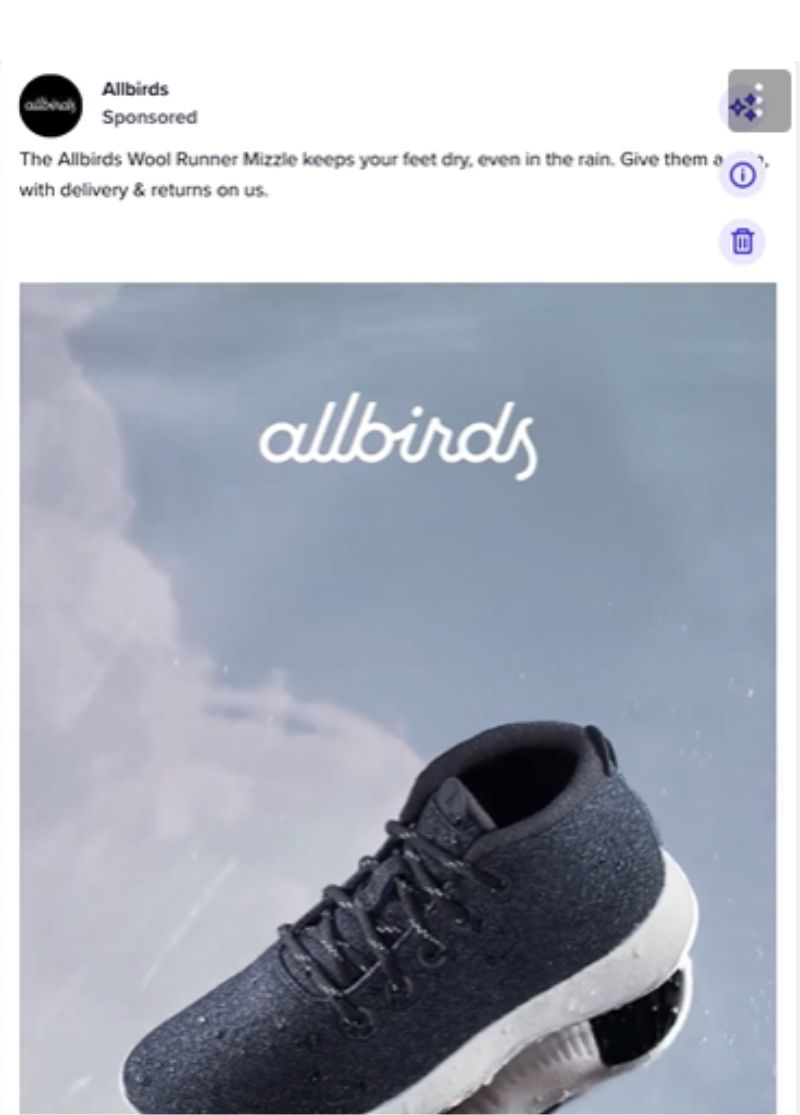 examples of facebook video ads