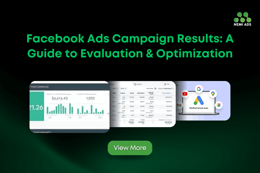 Facebook Ads Campaign Results